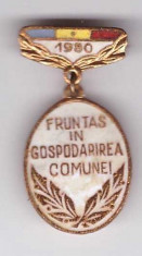 Insigna Fruntas in gospodarirea comunei 1980 foto