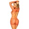 Foto  - 2