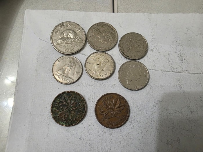 MONEDE CANADA 8 BUC