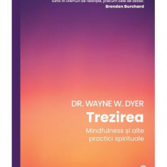 Trezirea - Paperback brosat - Dr. Wayne W. Dyer - Curtea Veche