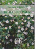 Dealu lui Paun - Constantin Bobulescu