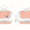 TRW GDB1314 COTEC set placute frana,frana disc