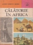 Calatorie in Africa