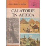 Calatorie in Africa