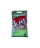 Seminte Ridichi De Luna Alb - French Breakfast 10 g., Oem