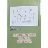 Adeveriri și adevăruri &icirc;n și despre limba rom&acirc;nă &ndash; Mircea Ștefănescu
