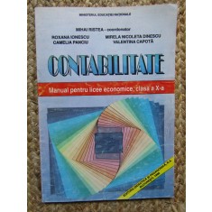 CONTABILITATE MANUAL PENTRU CLASA A X-A - Ristea