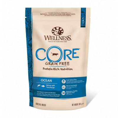 Hrana uscata pentru pisici Wellness Core Dry cu somon si ton 300 g foto