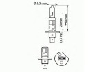 Bec Far H1 12V 55W P14.5S Basic Sct 45418 202631