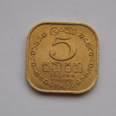 5 CENTS 1965 CEYLON-XF