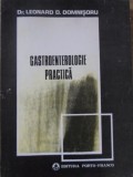 Gastroenterologie Practica, Leonard D. Domnisoru, Porto-Franco, 1992, Romana, Medicina, 117 pagini