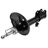 Amortizor fata Toyota Rav 4 2000-2005, Stanga, versiune 5 Drzwi, 4852042080
