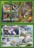 DB1 Fauna Burkina Faso Pasari Bufnite Bufnita Alba MS + SS MNH, Nestampilat