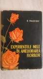 Rudolf Palocsay - Experientele mele in ameliorarea florilor