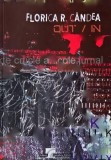 Out / In - Florica R. Candea