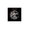 CD Soilwork ? Figure Number Five
