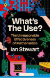 What&#039;s the Use? - Ian Stewart