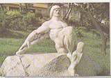 bnk cp Constanta - Muzeul de arta - Arcas odihnind - necirculata