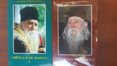 Manca-v-ar raiul!vol 1 si 3 - Parintele Cleopa foto