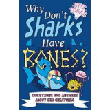 Why Dont Sharks Have Bones?