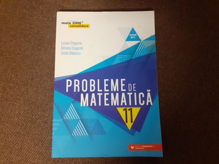 PROBLEME DE MATEMATICA PENTRU CLASA A XI A LUCIAN DRAGOMIR/OVIDIU BADESCU