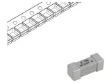 Siguranță &Icirc;nt&acirc;rziată 1A 250VAC SMD Ceramică, Littelfuse