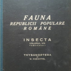 FAUNA R.P.R. INSECTA VOL VIII FASCICULA 1 - W. KNECHTEL