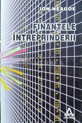 Finantele intreprinderii - 1997 - Ion Neagoe (H5) foto