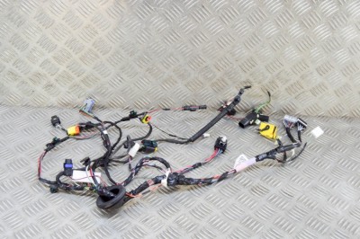 Cablaj ușă st&amp;acirc;nga spate TESLA MODEL X 2018 OEM: 2032441-00-A 17994705 foto