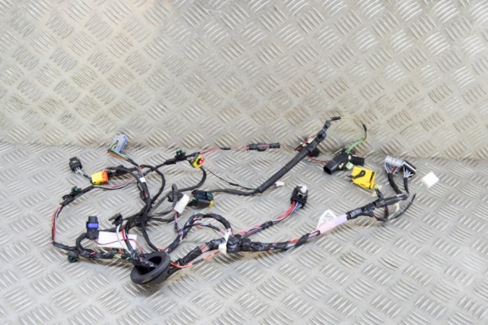 Cablaj ușă st&acirc;nga spate TESLA MODEL X 2018 OEM: 2032441-00-A 17994705
