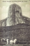 Masivul Panaghia de pe Varful Ceahlau. Judetul Neamtu (circulata 1928)