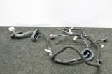 Cablaj ușă st&acirc;nga spate TESLA MODEL 3 2018 OEM: 2067965-00-A 11374627