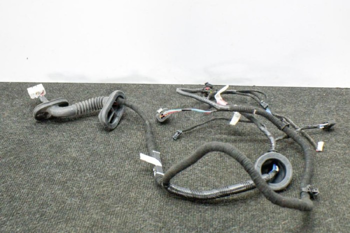 Cablaj ușă st&acirc;nga spate TESLA MODEL 3 2018 OEM: 2067965-00-A 11374627