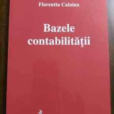 Bazele contabilitatii - Florentin Caloian