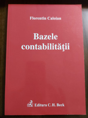 Bazele contabilitatii - Florentin Caloian foto