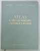 ATLAS AL STRUCTURII MICROSCOPICE A TESUTURILOR SI ORGANELOR de V.G. ELISEEV ...E.F. KOTOVSKI , 1961