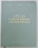 ATLAS AL STRUCTURII MICROSCOPICE A TESUTURILOR SI ORGANELOR de V.G. ELISEEV ...E.F. KOTOVSKI , 1961