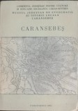 Caransebes (Contributii istorice) &ndash; Petru Bona