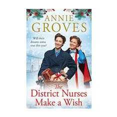 District Nurses Make a Wish (the District Nurses, Book 5)