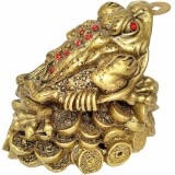 Broasca Feng Shui mare, amuleta banilor cu monede chinezesti, 13 cm