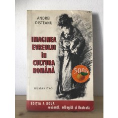 Andrei Oisteanu - Imaginea Evreului in Cultura Romana