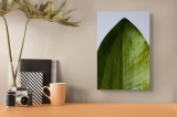 Tablou Canvas cu motiv de frunze, artă naturală pentru interior, 26 x 39 cm, CMCLASS