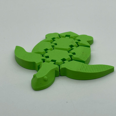 Flexi Turtle - Verde foto