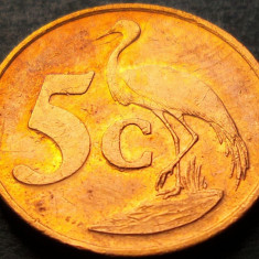 Moneda exotica 5 CENTI - AFRICA de SUD, anul 1997 *cod 5305 - AFRIKA DZONGA