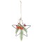 Decoratiune Craciun, tip stea, rosu + verde + negru, 16 x 3 x 27 cm, 22SF31887
