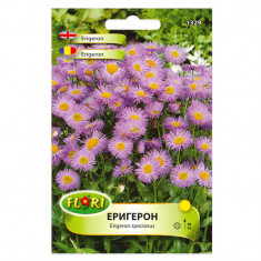 Seminte flori, Florian, Erigeron - Batranis, 0,5 g foto