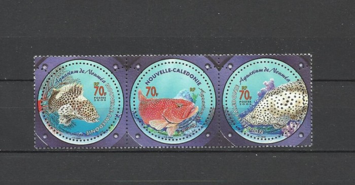 NOUA CALEDONIE 2003 FAUNA MARINA PESTI DE ACVARIU