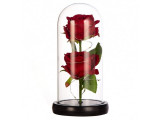 Set 2 trandafiri in cupola de sticla, baza neagra, 23 x 11.5 cm, rosu, lumini LED, cutie inclusa