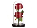 Cumpara ieftin Set 2 trandafiri in cupola de sticla, baza neagra, 23 x 11.5 cm, rosu, lumini LED, cutie inclusa, Dactylion