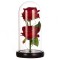 Set 2 trandafiri in cupola de sticla, baza neagra, 23 x 11.5 cm, rosu, lumini LED, cutie inclusa